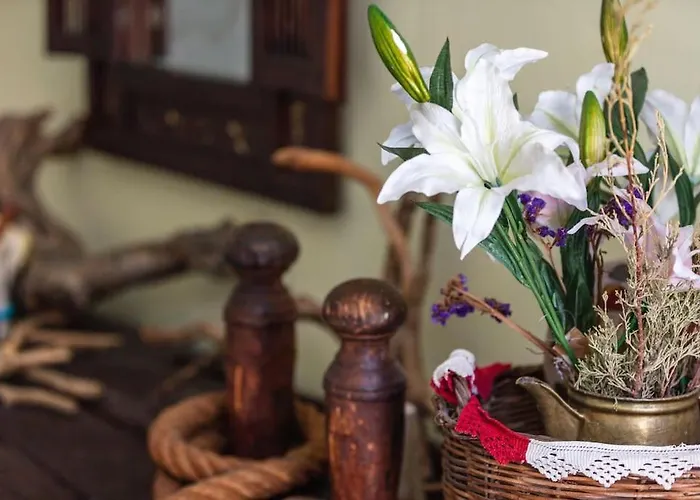 Marylee's Old Town #2 Adults Only *