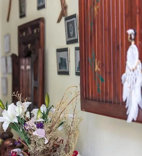 Marylee's Old Town #2 Adults Only *