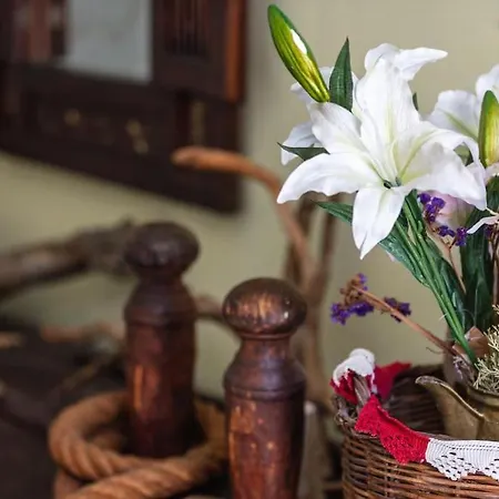 Marylee's Old Town #2 Adults Only *