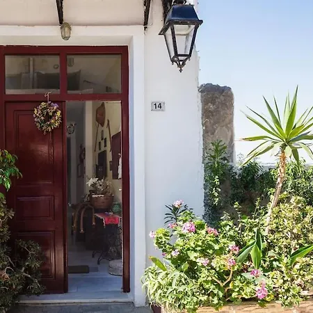 Marylee's Old Town #2 Adults Only *