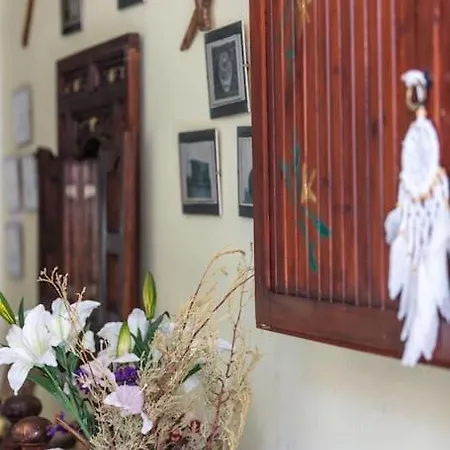 Marylee's Old Town #2 Adults Only *